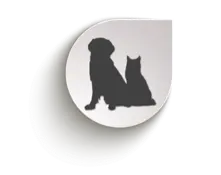 Ayuntamiento de Galápagos