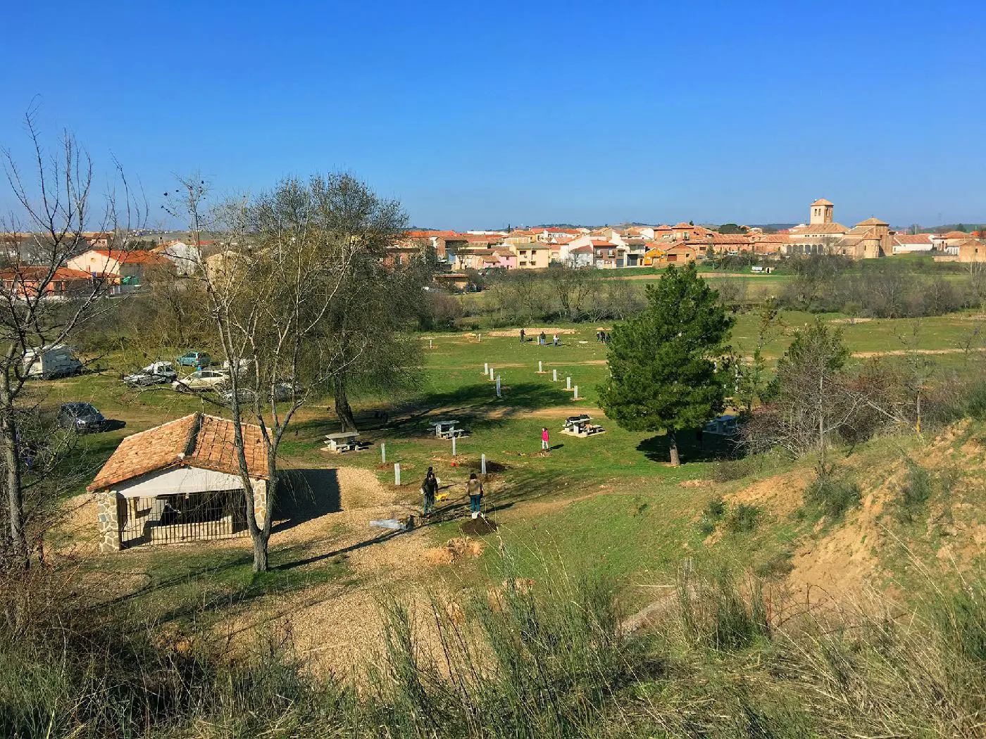 Día del árbol organiza el ayuntamiento de Galápagos